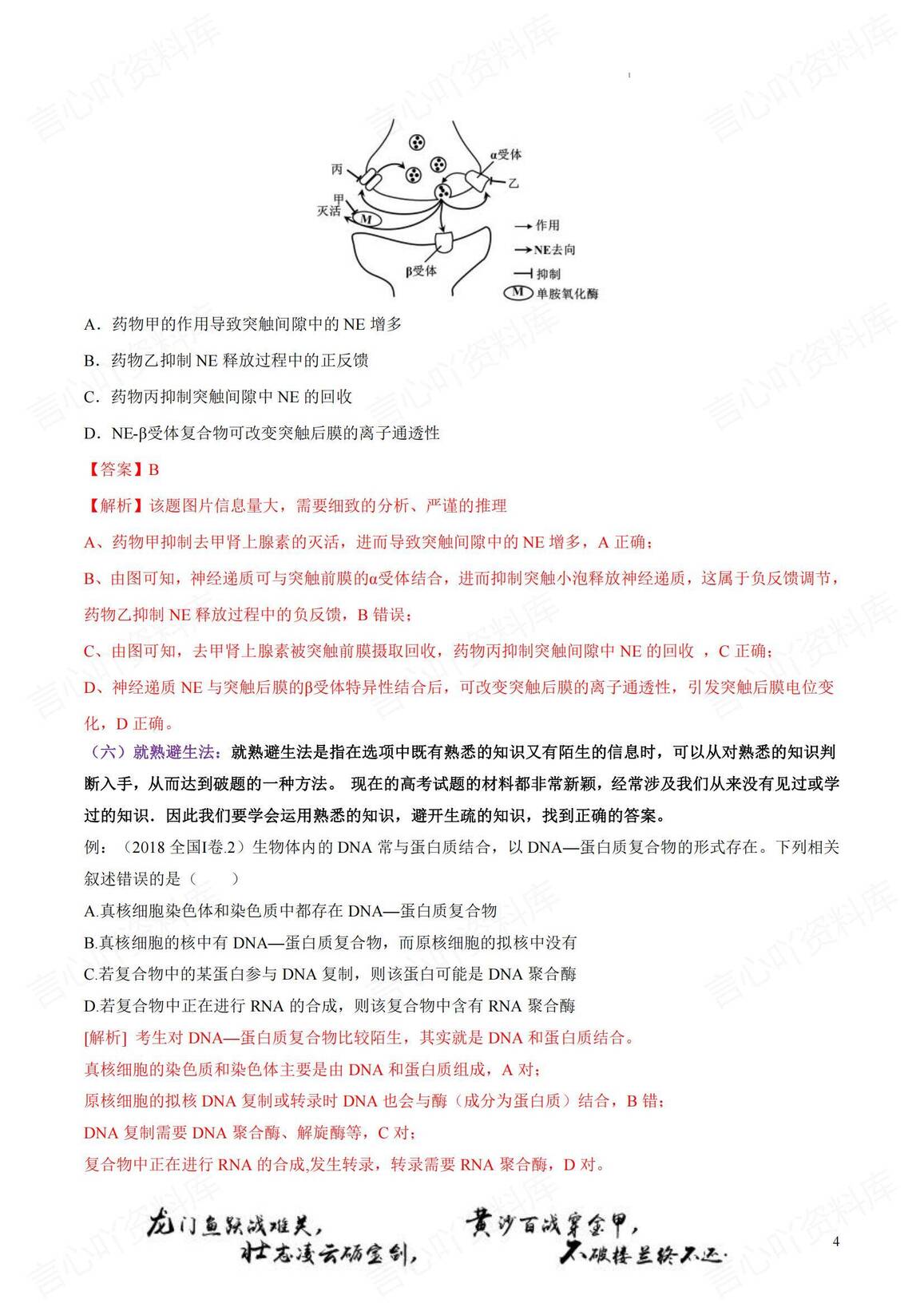 高中生物-考前综合复习插图高中生物4