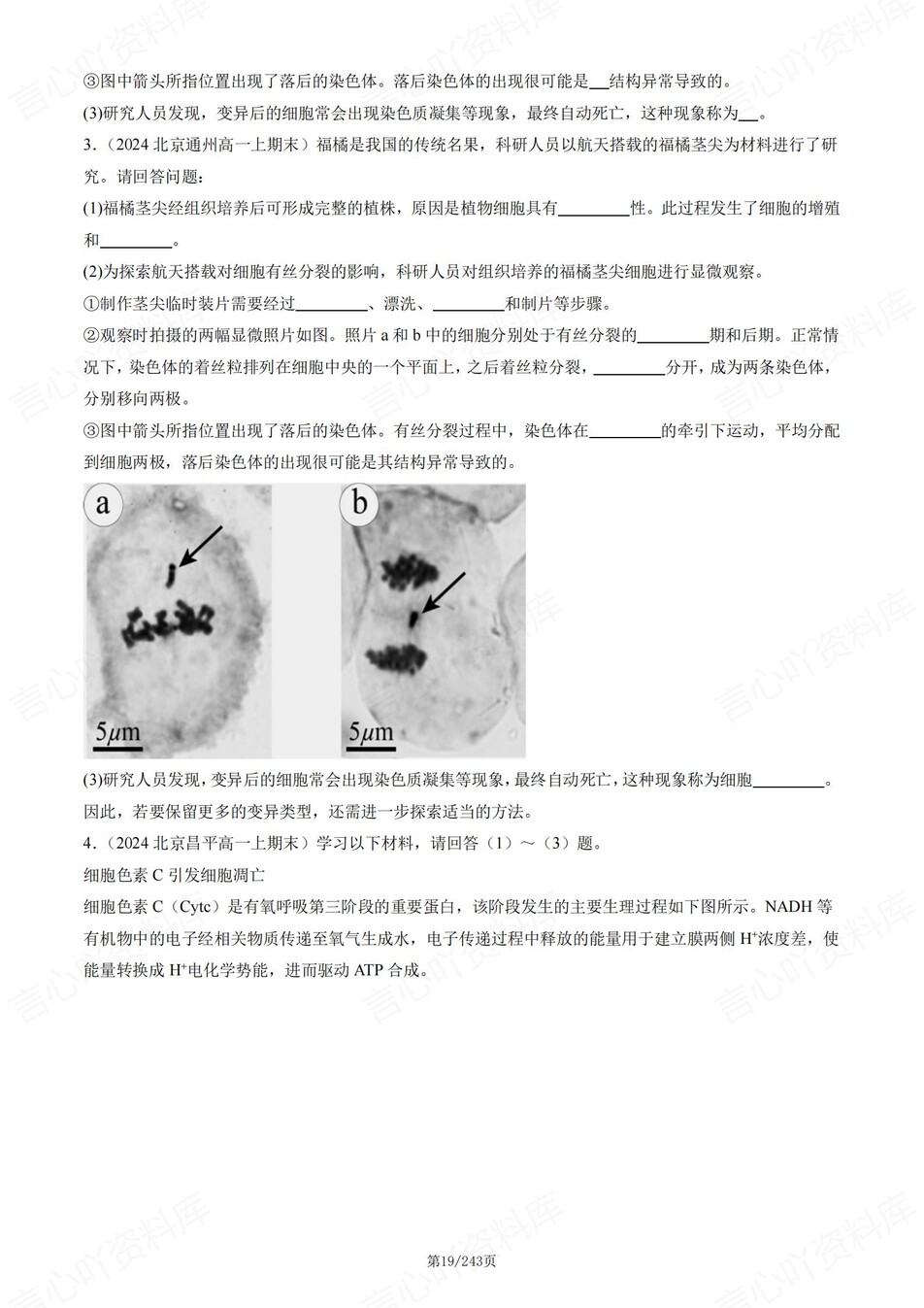 高中生物-高一上期末章节综合测试解析插图高中生物5