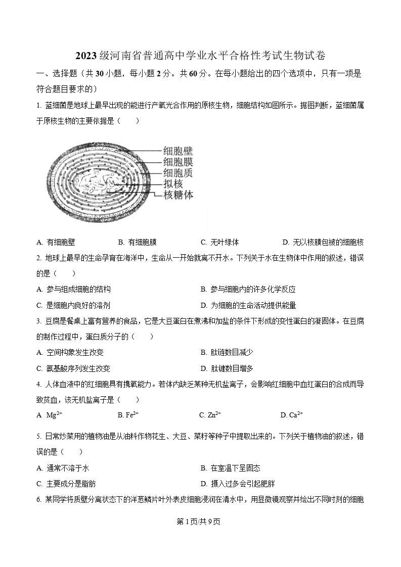 河南省学考真题-历年高中学业水平合格性考试卷答案解析-言心吖资料库