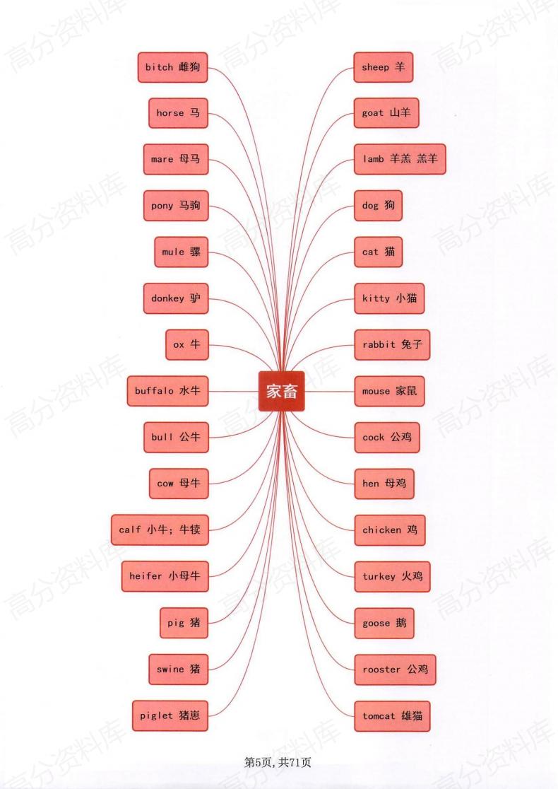 高中英语-单词词组分类思维导图-218插图高中英语4