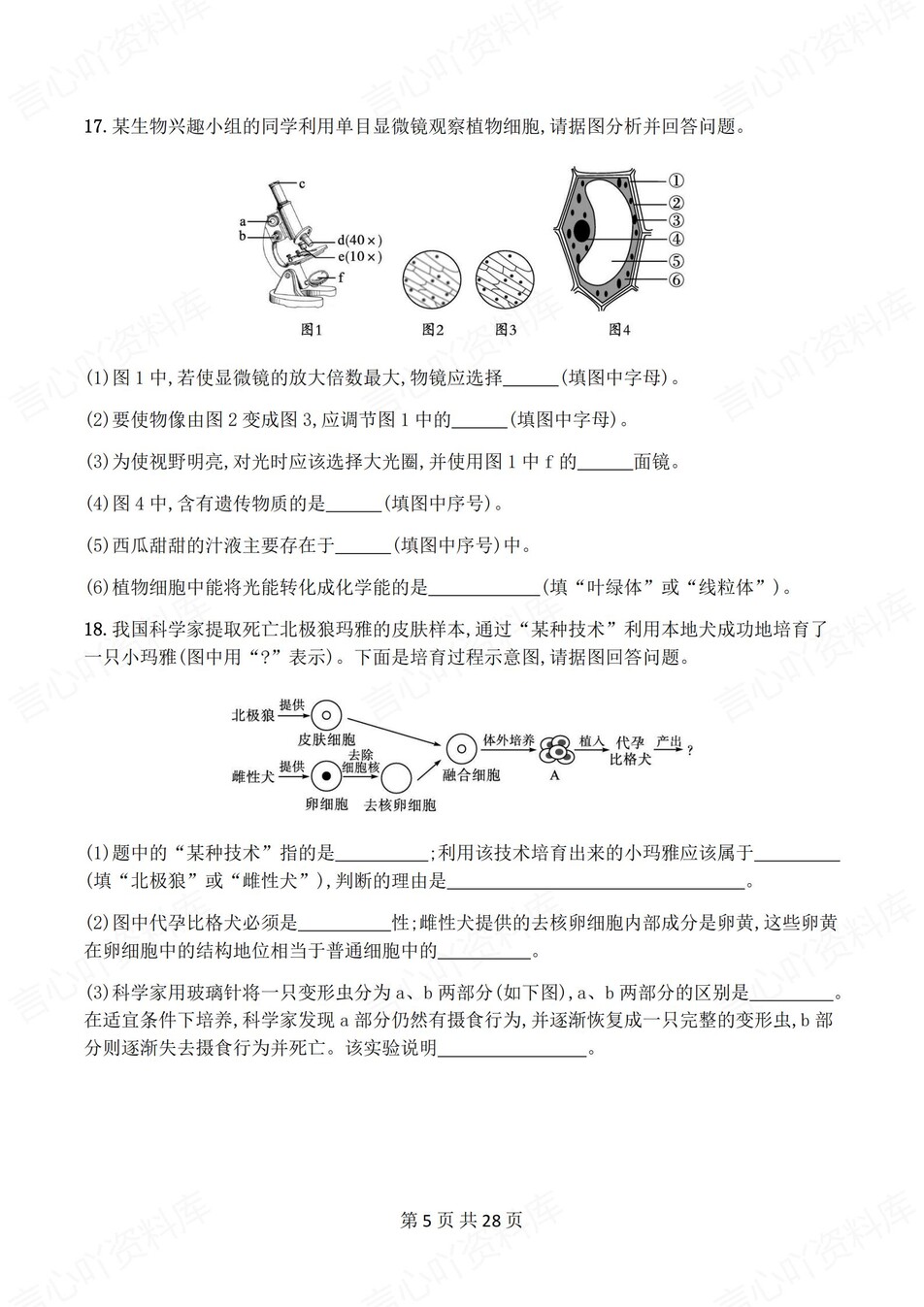 初中生物-七年级上人教版1-4章练习测试解析插图初中生物4