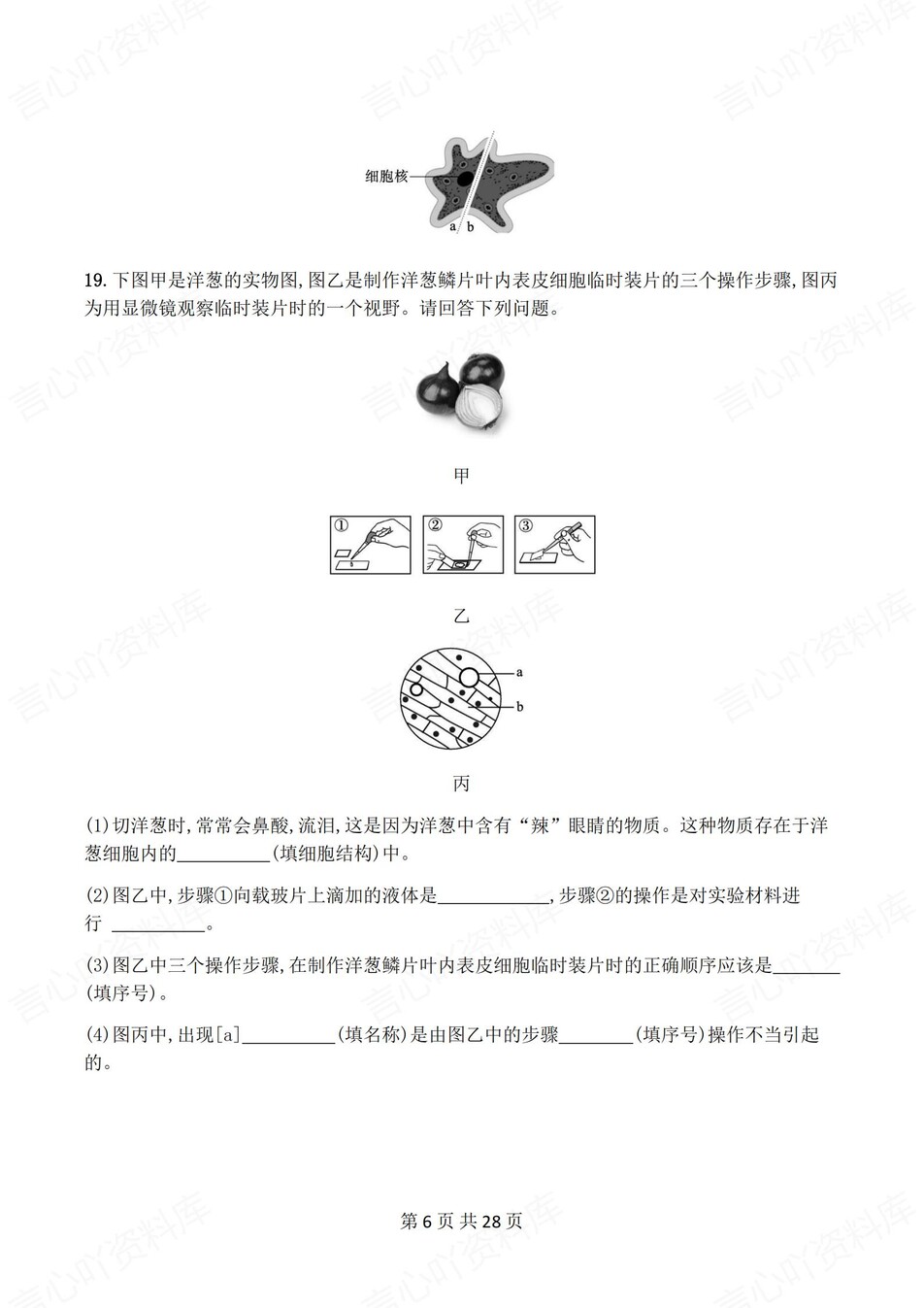 初中生物-七年级上人教版1-4章练习测试解析插图初中生物5