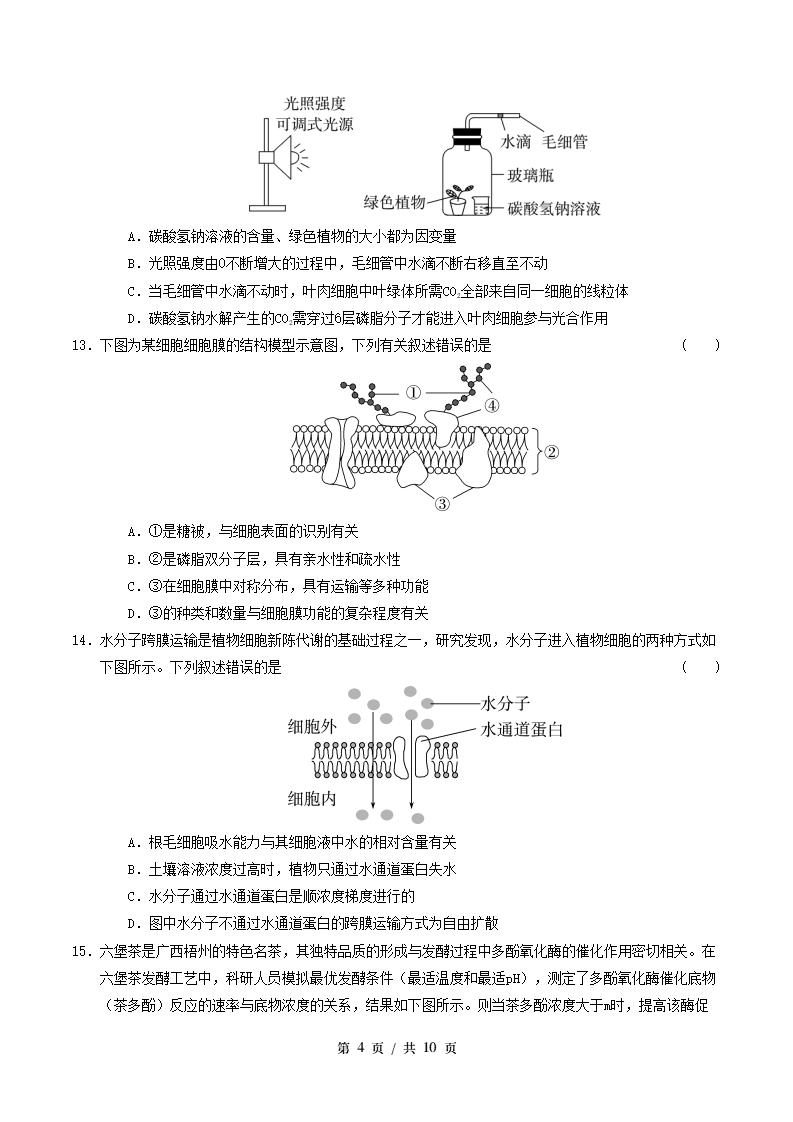 高中生物-高一上学期末考试卷人教版答案解析插图同步试卷专项1