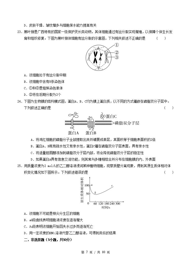 高中生物-高一上学期末考试卷人教版答案解析插图同步试卷专项2