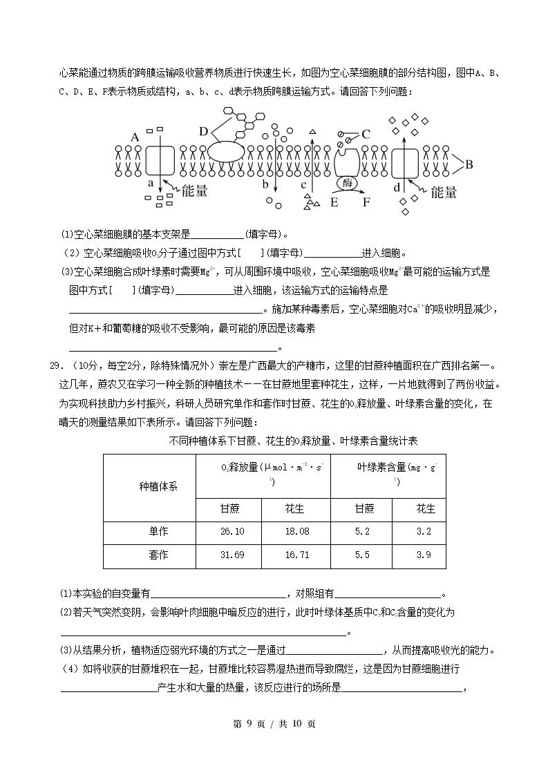 高中生物-高一上学期末考试卷人教版答案解析插图同步试卷专项3