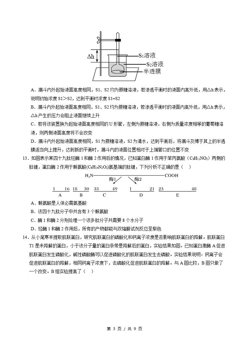 高中生物-高一上学期末考试卷通用版答案解析插图同步试卷专项1