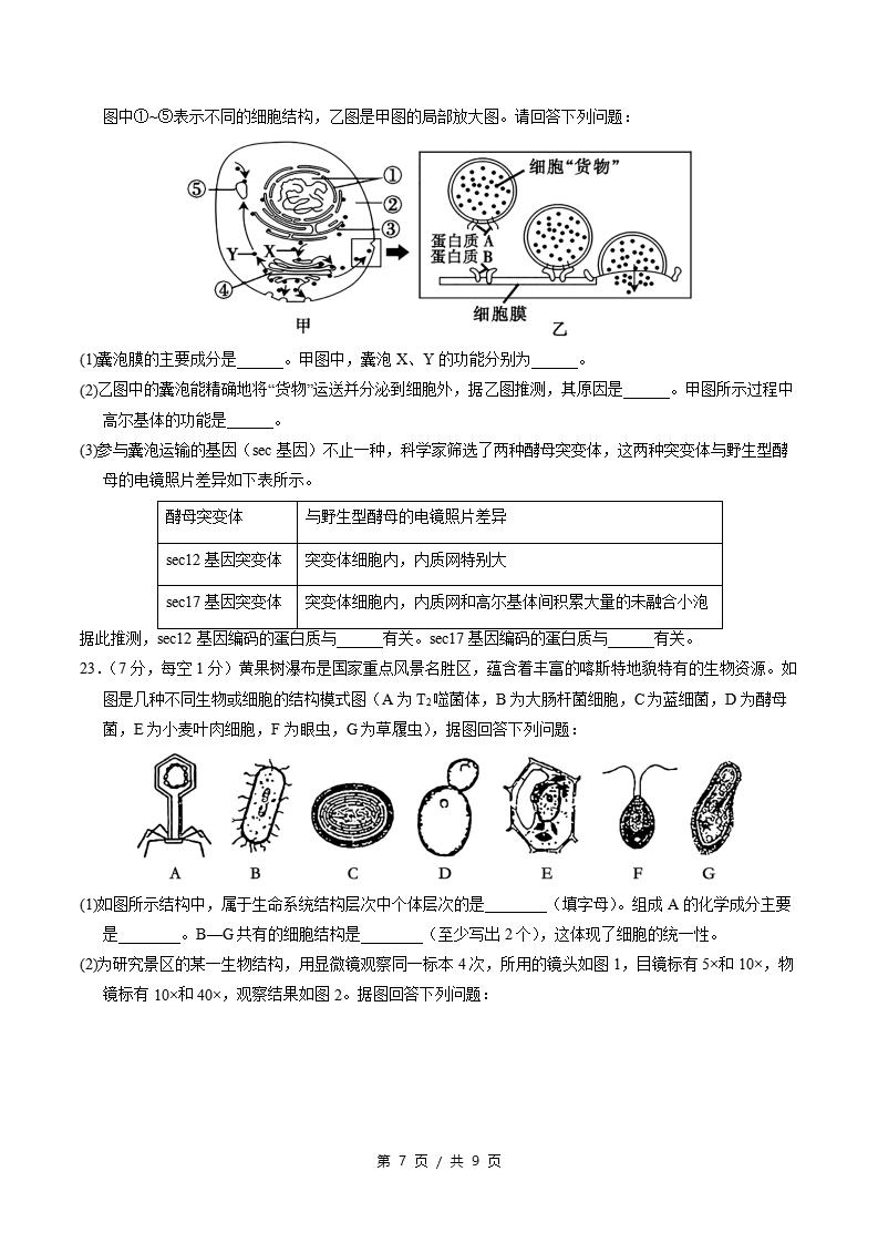 高中生物-高一上学期末考试卷通用版答案解析插图同步试卷专项2