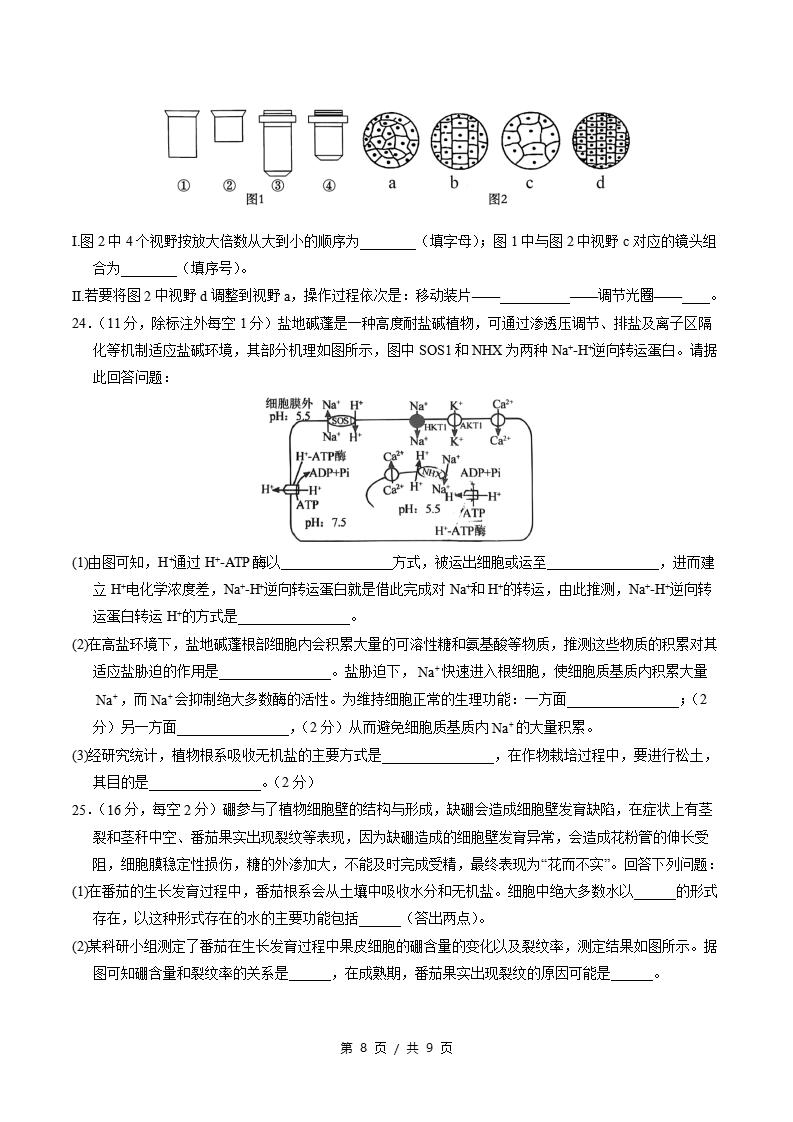 高中生物-高一上学期末考试卷通用版答案解析插图同步试卷专项3