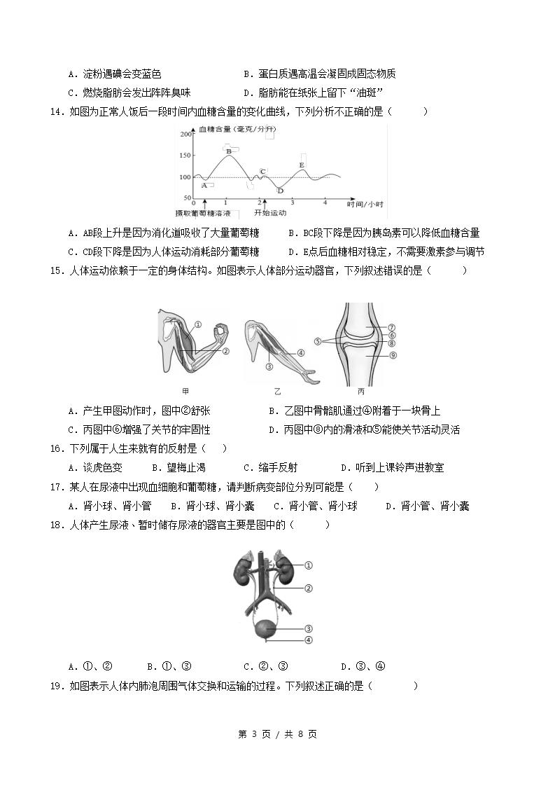 初中生物-新八年级上学期末考试卷苏教版答案解析插图同步试卷专项1