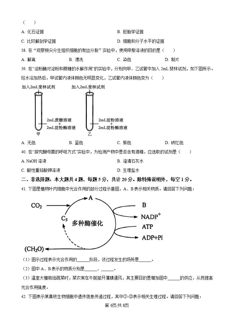 江苏省2022年高中学业水平合格性考试生物真题试卷答案解析学考会考春考高考插图历年学考真题4