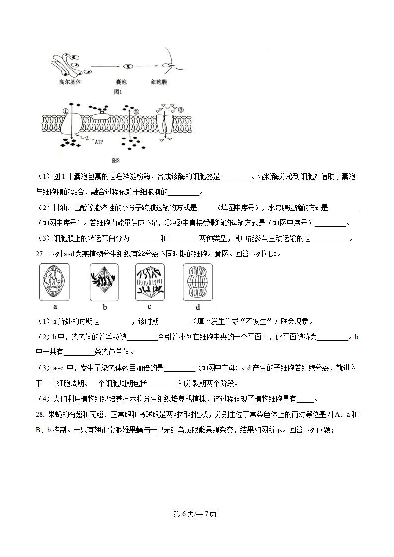 山东省2023年高中学业水平合格性考试生物夏季真题试卷答案解析学考会考春考高考插图历年学考真题4