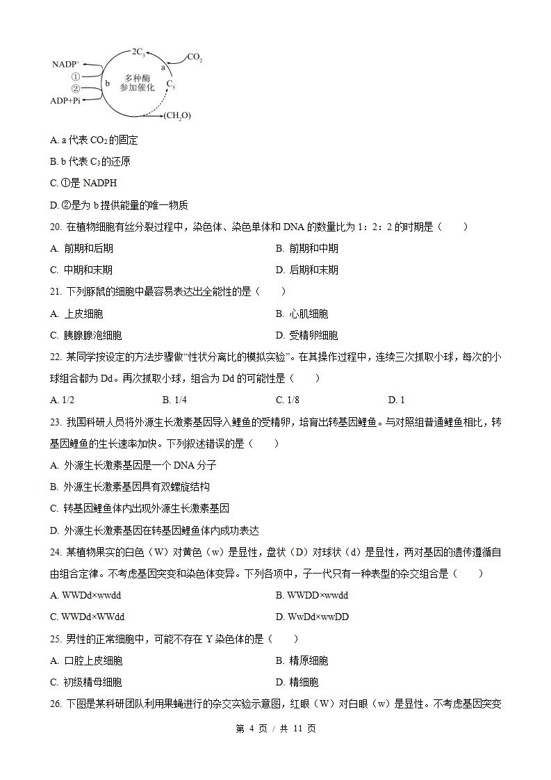 河北省2024年高中学业水平合格性考试生物5月真题试卷答案解析学考会考春考高考插图历年学考真题2