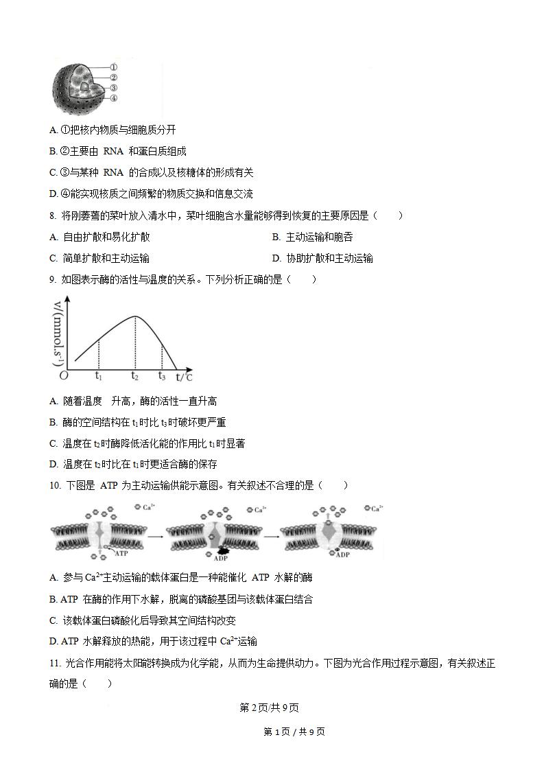 新疆2024年高中学业水平合格性考试生物6月真题试卷答案解析学考会考春考高考插图历年学考真题1
