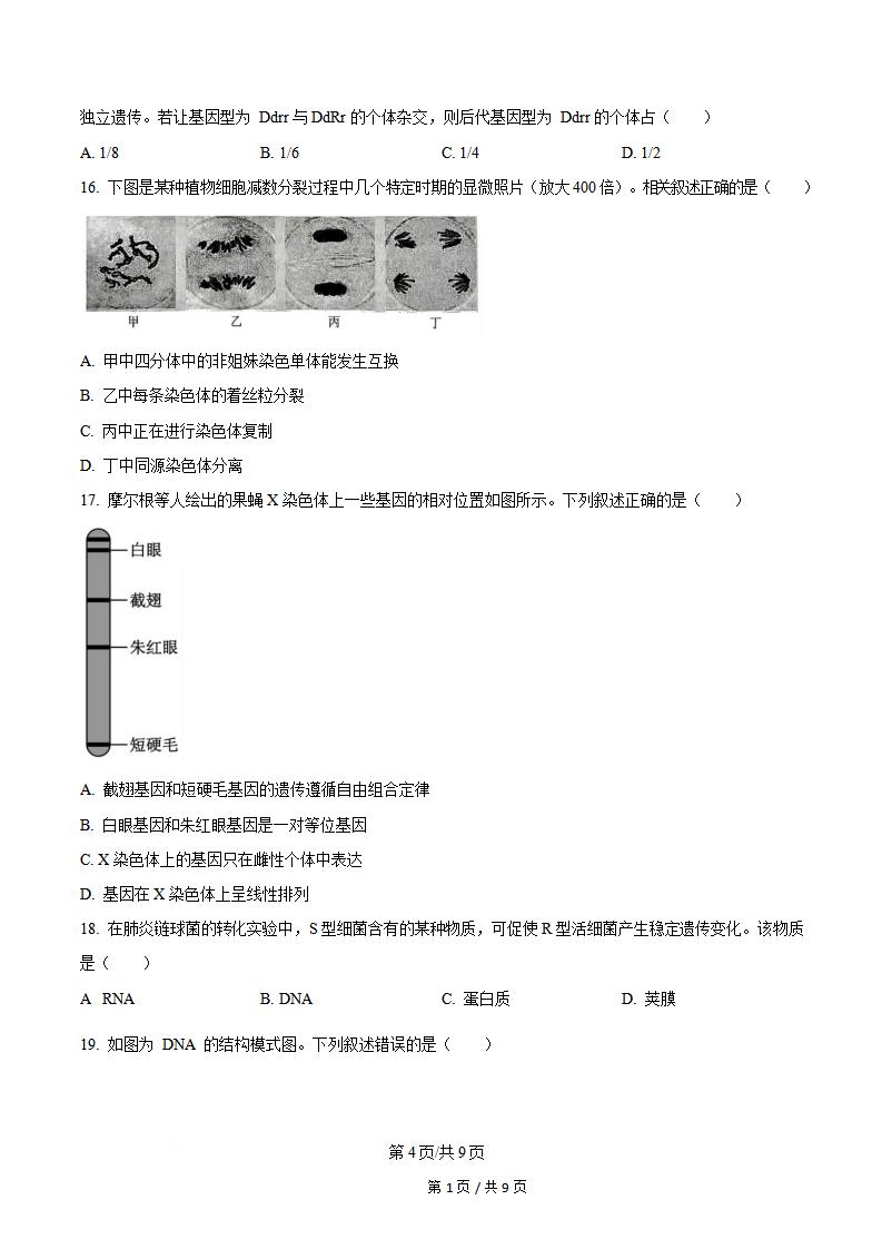 新疆2024年高中学业水平合格性考试生物6月真题试卷答案解析学考会考春考高考插图历年学考真题2