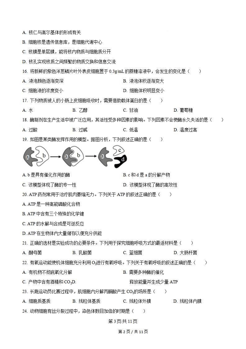 辽宁省2024年高中学业水平合格性考试生物7月真题试卷答案解析学考会考春考高考插图历年学考真题1