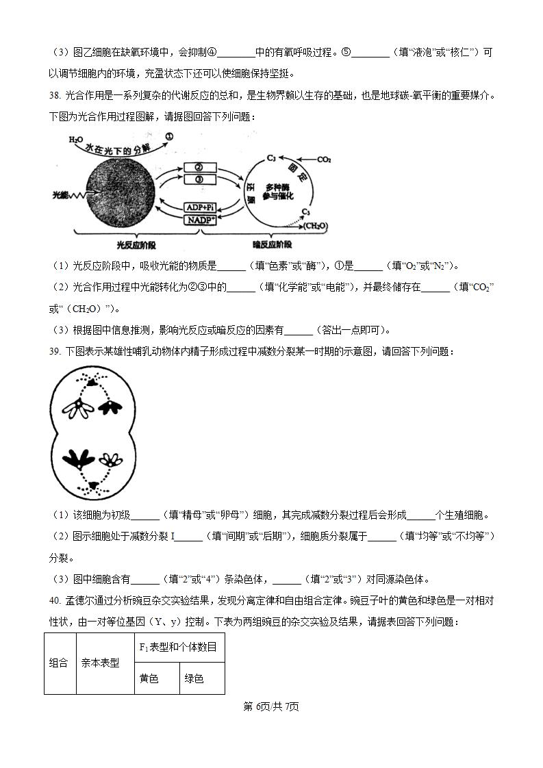 黑龙江省2024年高中学业水平合格性考试生物7月真题试卷答案解析学考会考春考高考插图历年学考真题4