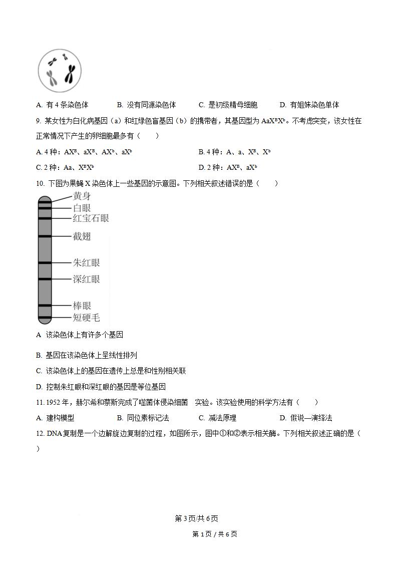 山西省2024年高中学业水平合格性考试生物夏季真题试卷答案解析学考会考春考高考插图历年学考真题1