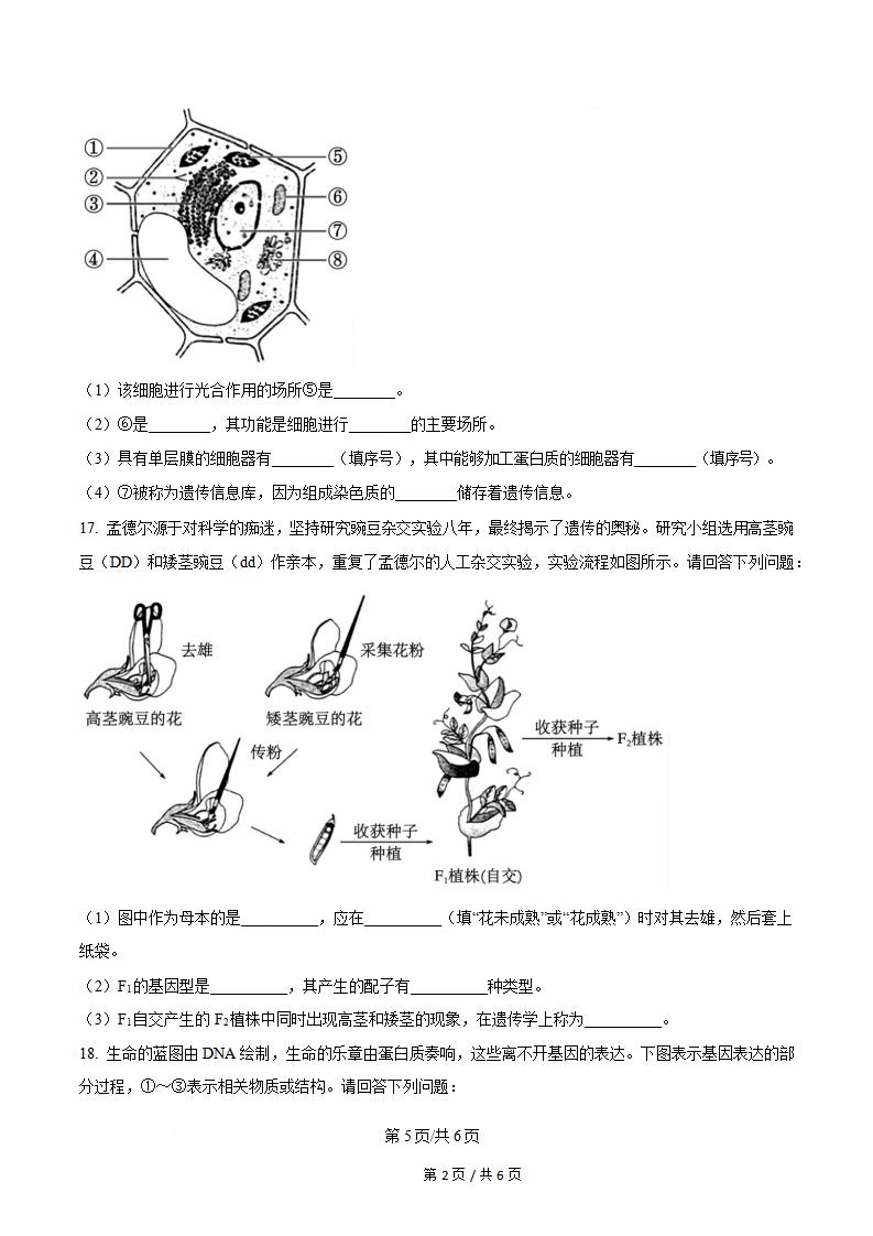 山西省2024年高中学业水平合格性考试生物夏季真题试卷答案解析学考会考春考高考插图历年学考真题3