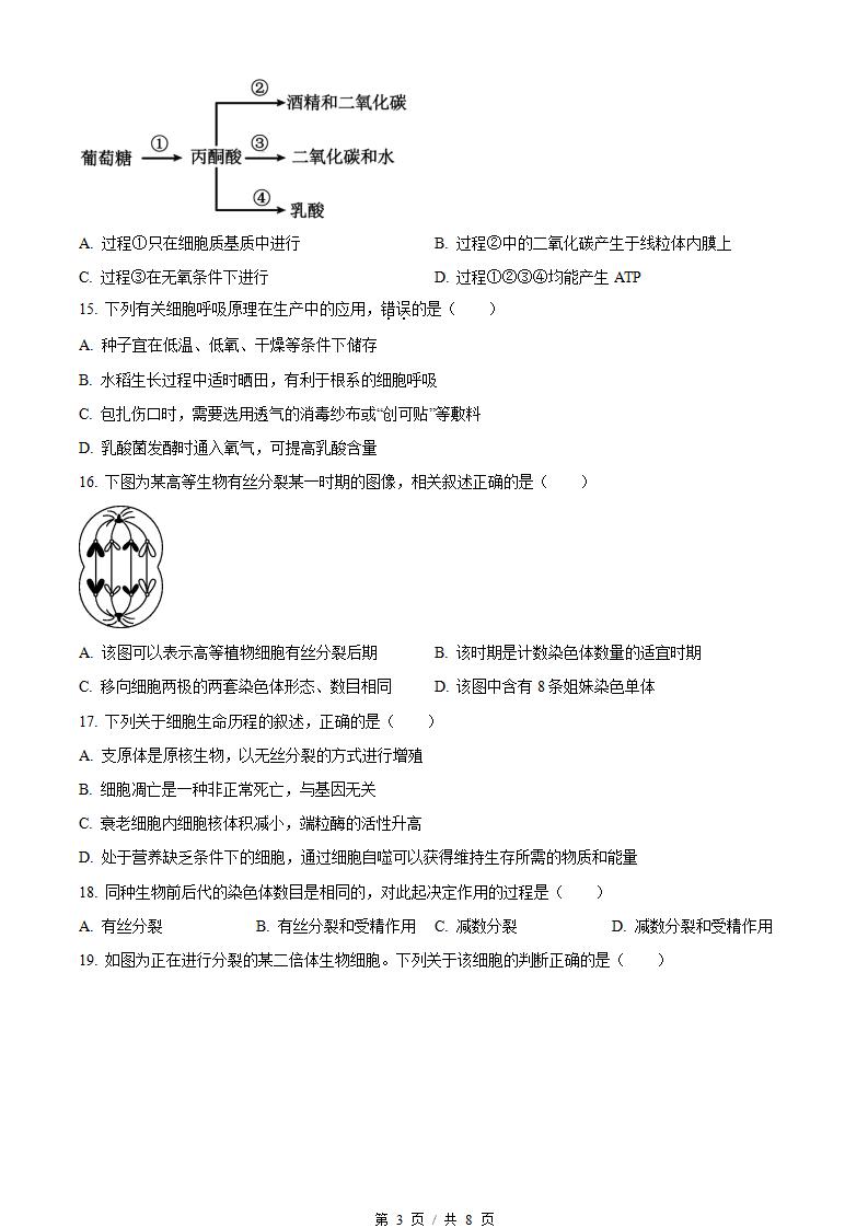 江苏省2024年高中学业水平合格性考试生物真题试卷答案解析学考会考春考高考插图历年学考真题1