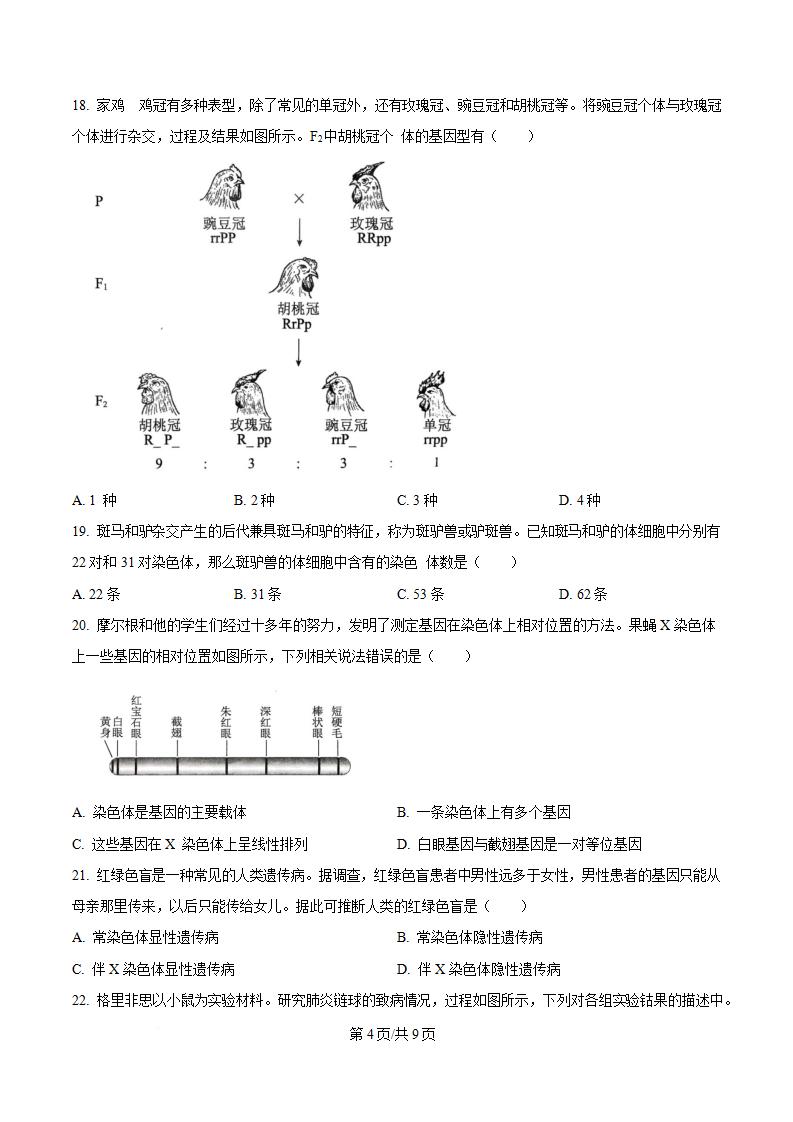 河南省2024年高中学业水平合格性考试生物真题试卷答案解析学考会考春考高考插图历年学考真题2