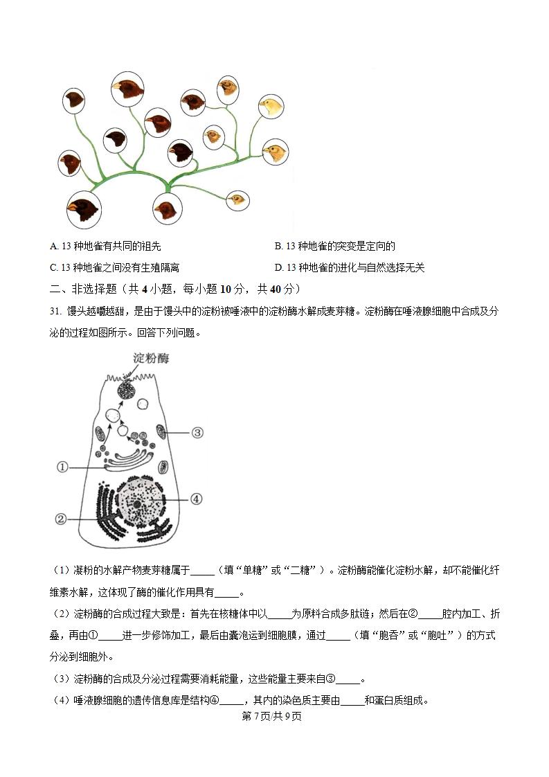 河南省2024年高中学业水平合格性考试生物真题试卷答案解析学考会考春考高考插图历年学考真题4
