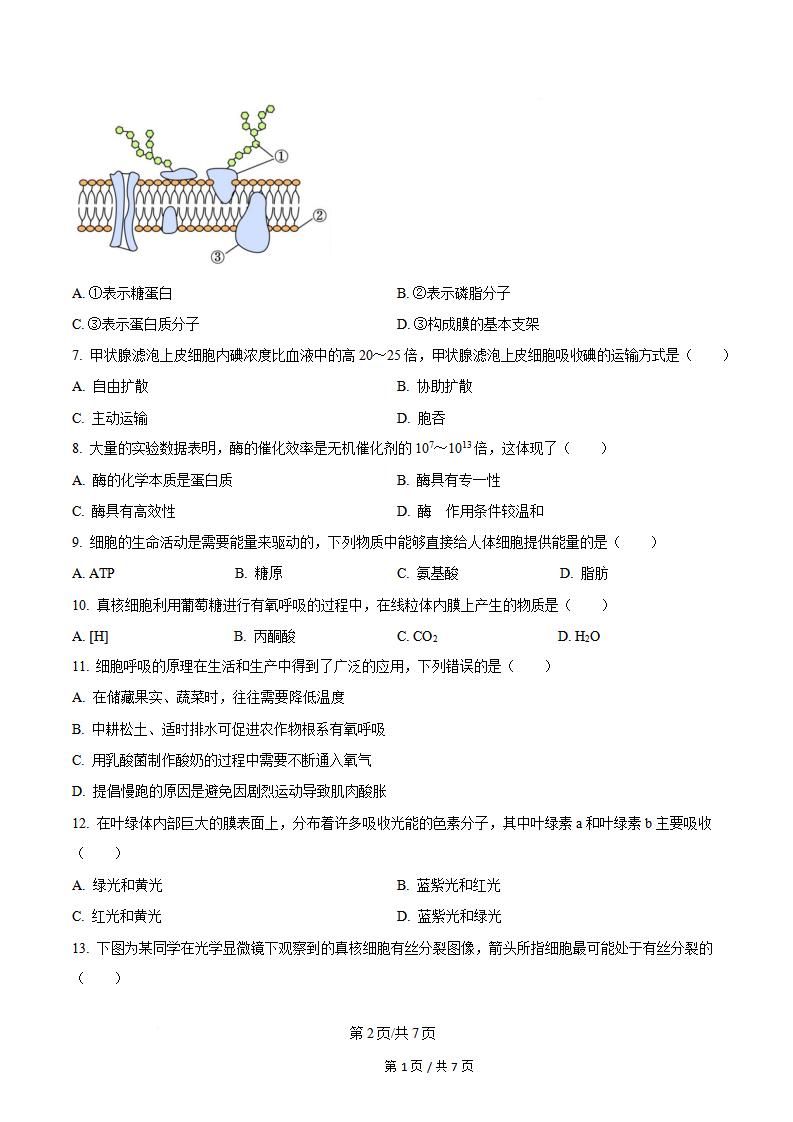 陕西省2024年高中学业水平合格性考试生物真题试卷答案解析学考会考春考高考插图历年学考真题1