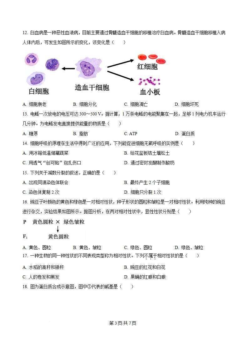 福建省2025年高中学业水平合格性考试生物1月真题试卷答案解析学考会考春考高考插图历年学考真题1