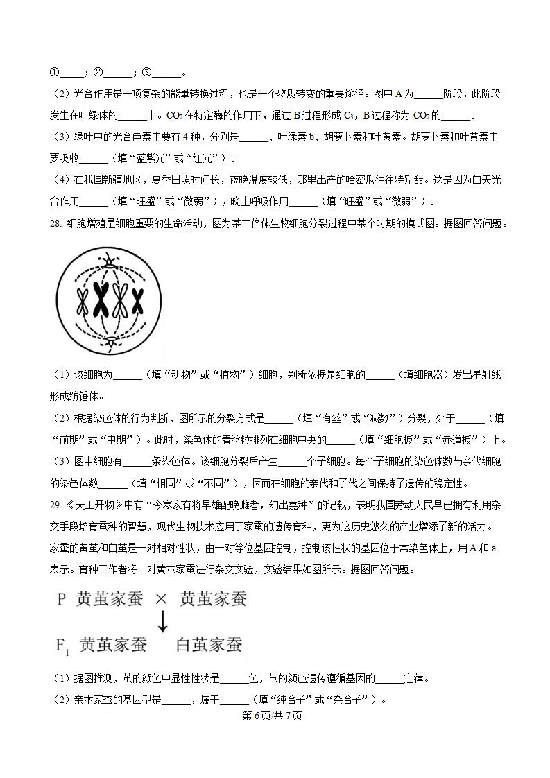 福建省2025年高中学业水平合格性考试生物1月真题试卷答案解析学考会考春考高考插图历年学考真题4