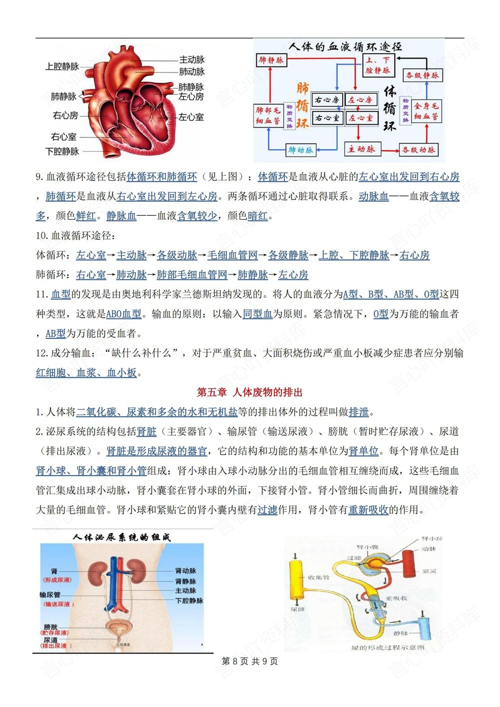 初中生物-七年级下人教版填空背记版新教材初一下册插图初中生物5