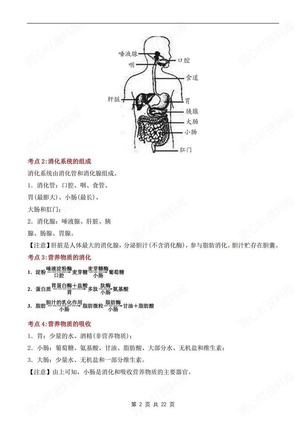 初中生物-七年级下北师大版填空背记版新教材初一下册插图初中生物2