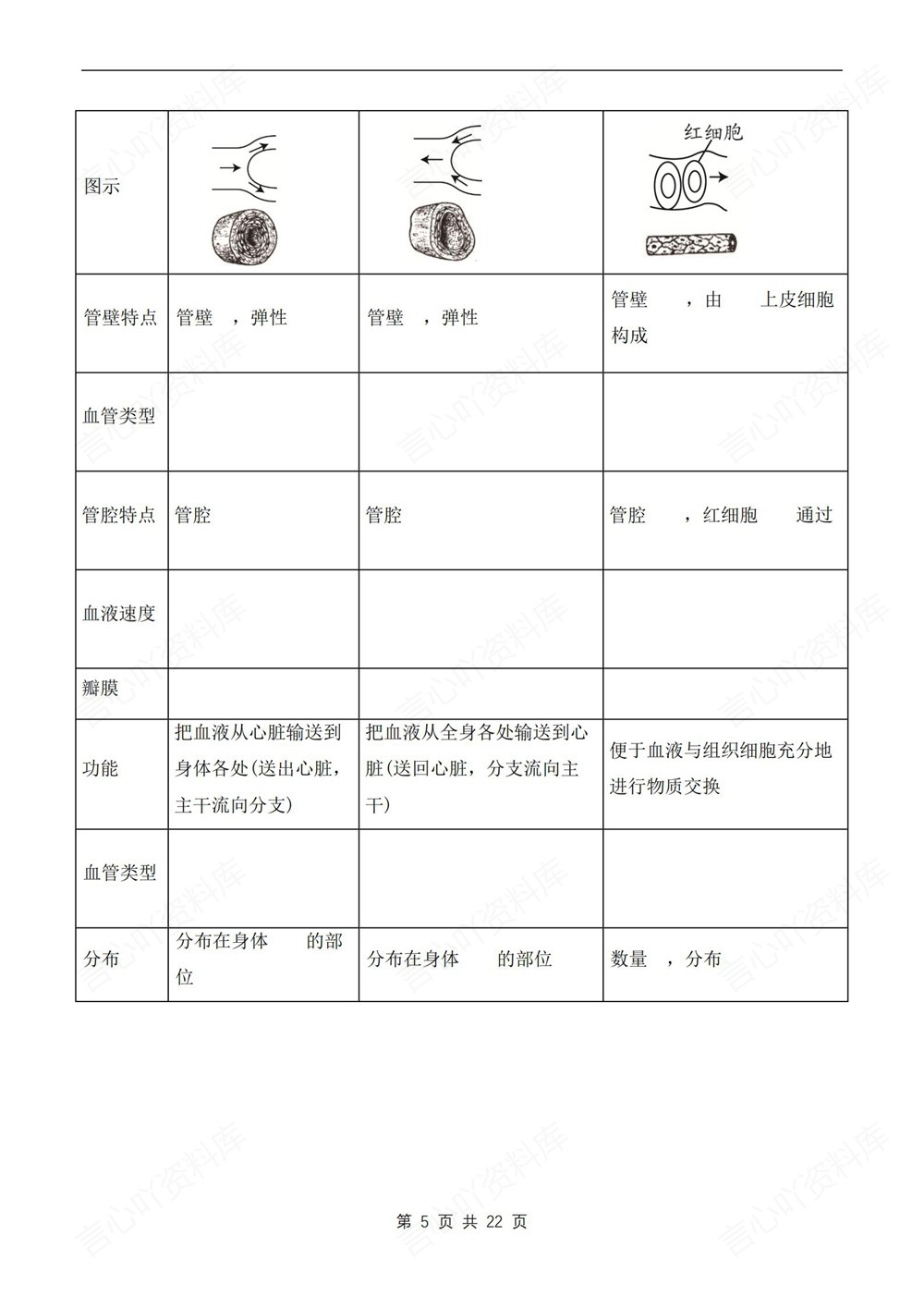 初中生物-七年级下北师大版填空背记版新教材初一下册插图初中生物4