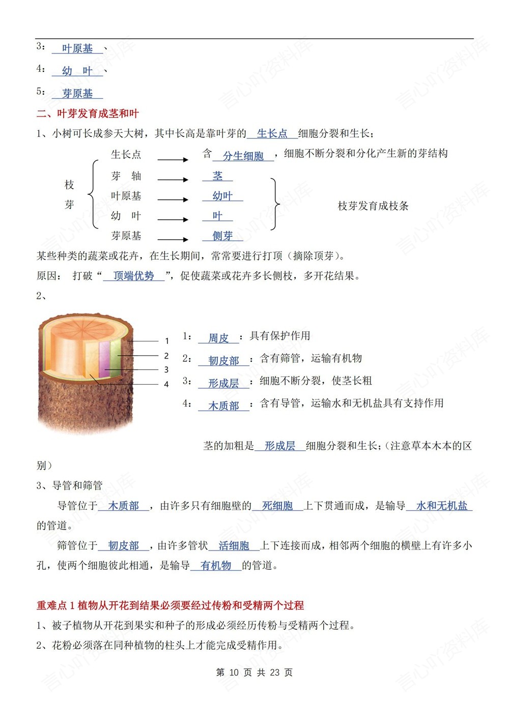 初中生物-七年级下济南版单元重点知识梳理新教材初一下册插图初中生物6