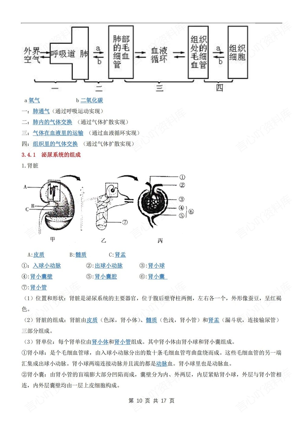 初中生物-七年级下冀少版单元重点知识梳理新教材初一下册插图初中生物6