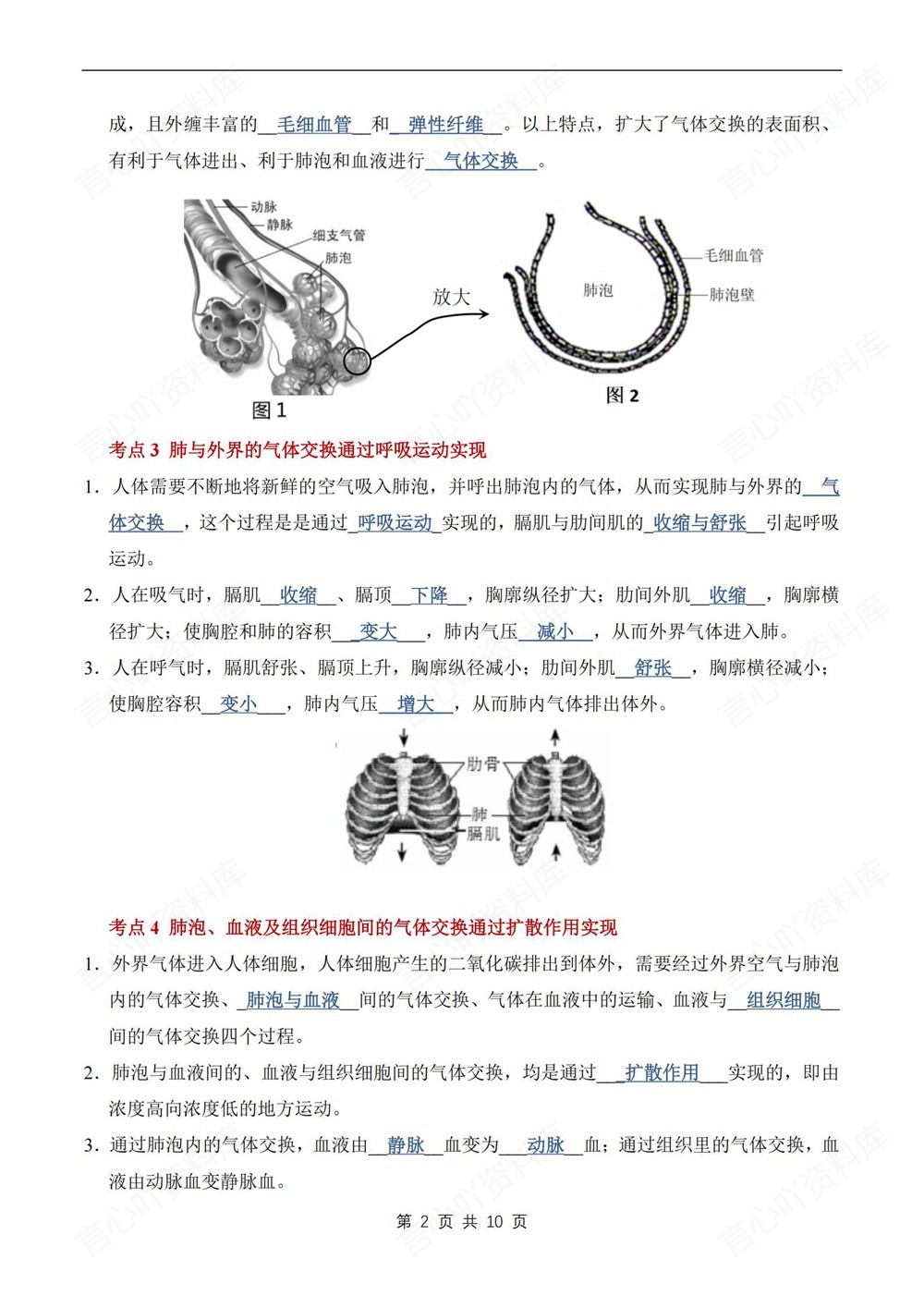 初中生物-七年级下单元重点知识梳理新教材初一下册插图初中生物2