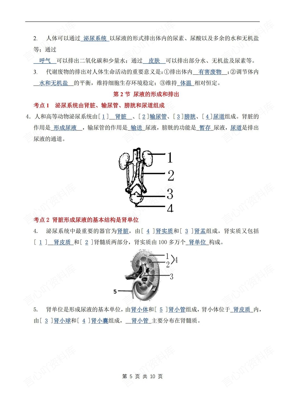 初中生物-七年级下单元重点知识梳理新教材初一下册插图初中生物5