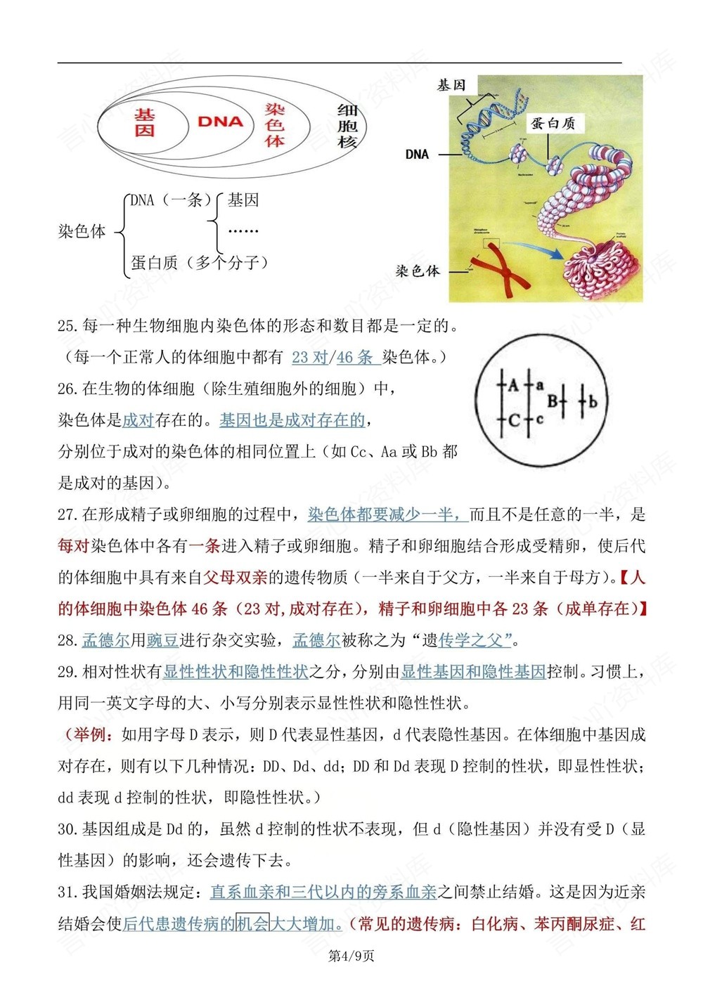 初中生物-八年级下人教版68个考点知识提纲新版初二下册插图初中生物4