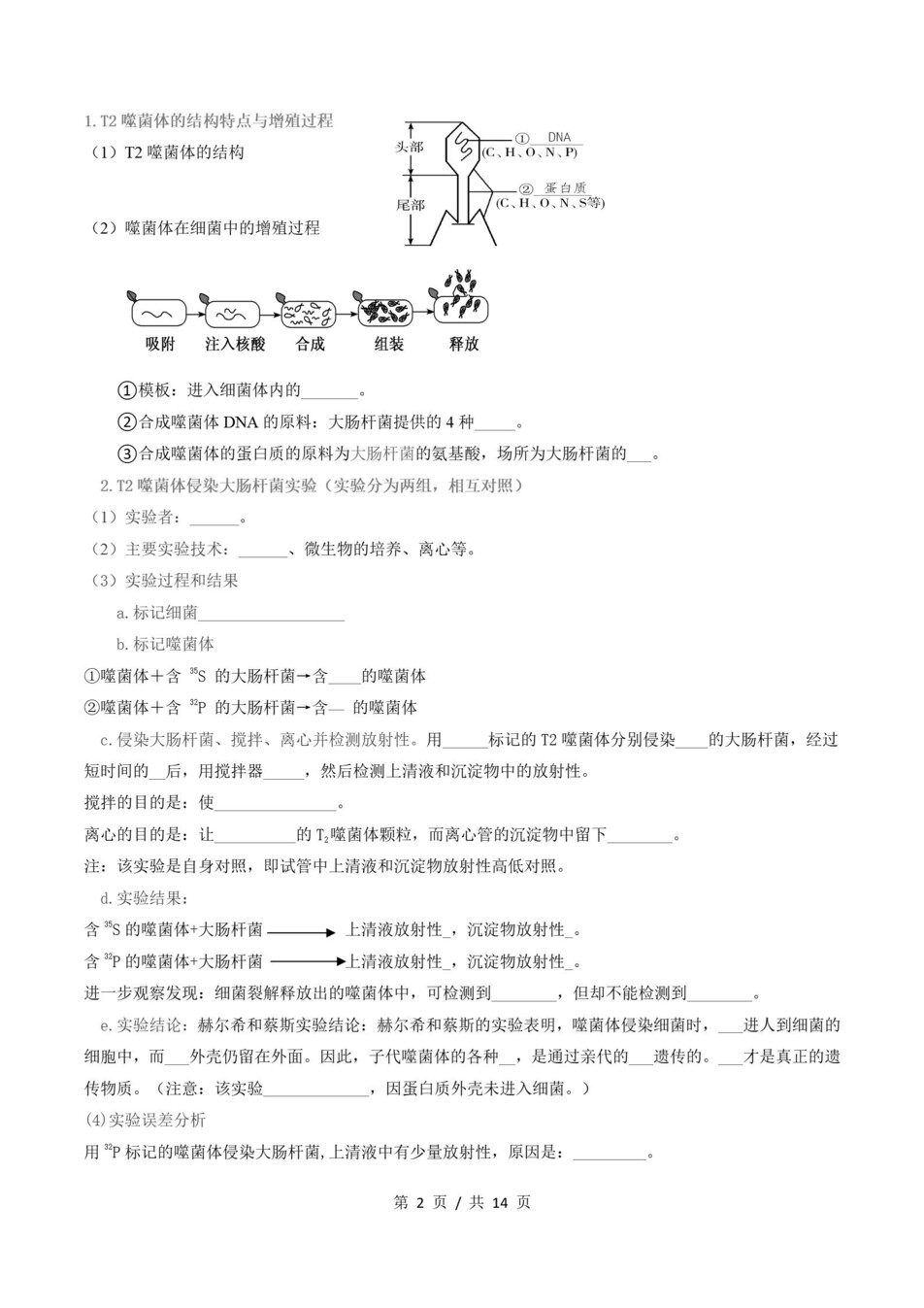 高中生物 | 高一下苏教版期末复习考点梳理知识清单试卷模拟插图高中考点专项5