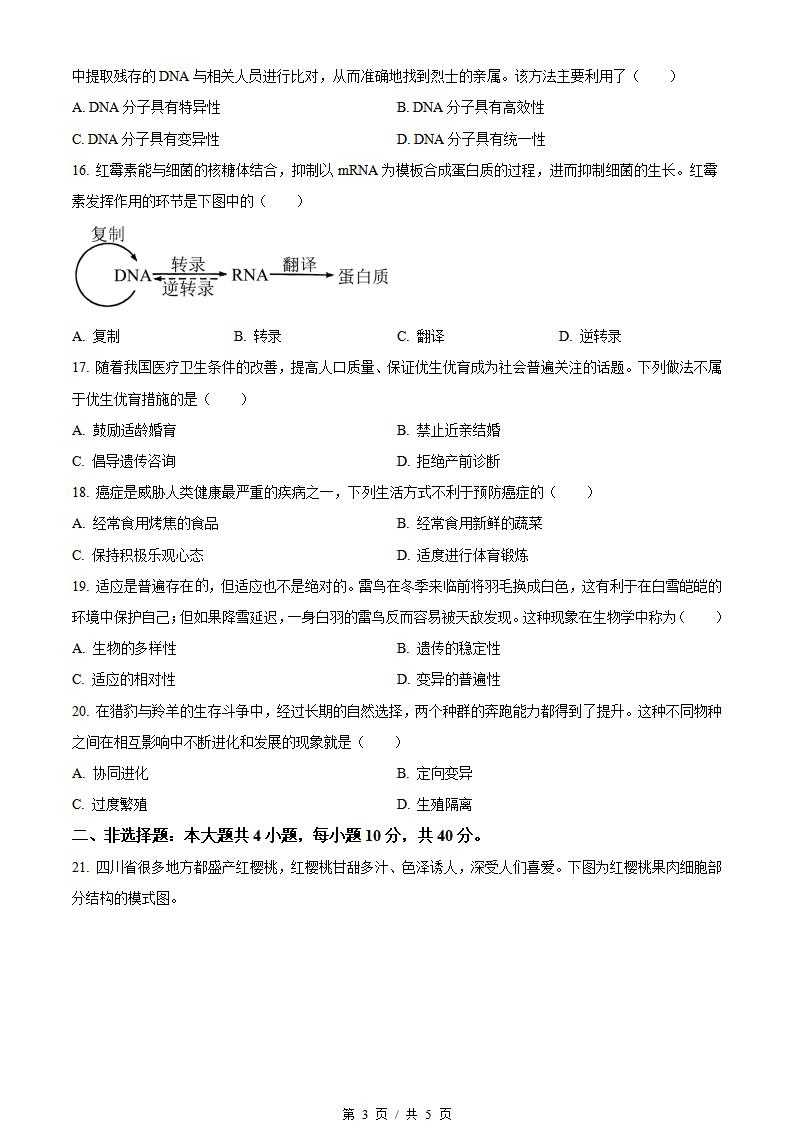 四川省2024年高中学业水平合格性考试生物6月真题试卷答案解析学考会考春考高考插图历年学考真题2