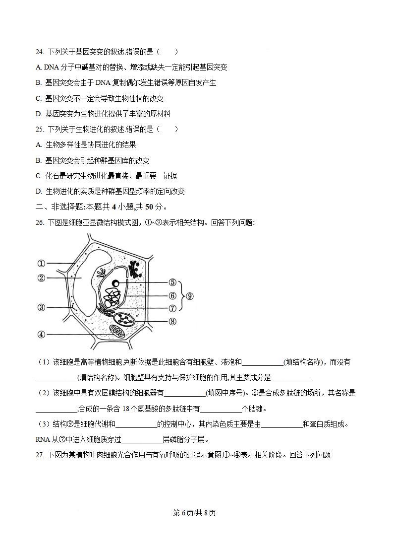 山东省2024年高中学业水平合格性考试生物夏季真题试卷答案解析学考会考春考高考插图历年学考真题4