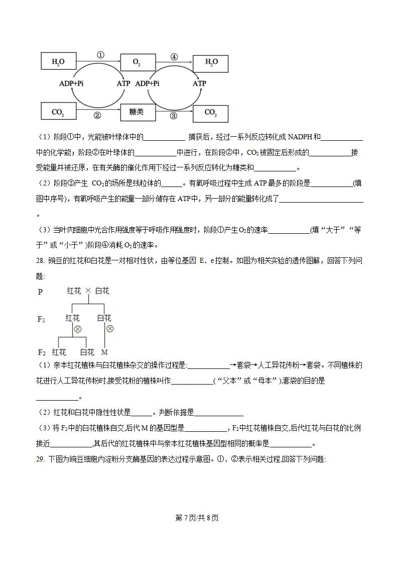 山东省2024年高中学业水平合格性考试生物夏季真题试卷答案解析学考会考春考高考插图历年学考真题5