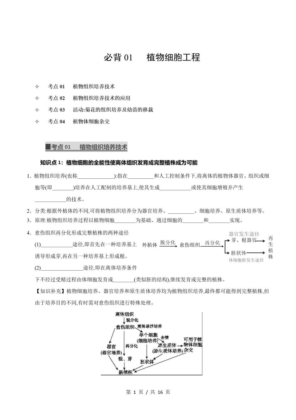 高中生物 | 高二下浙科版期末复习考点梳理知识清单试卷模拟插图高中考点专项1