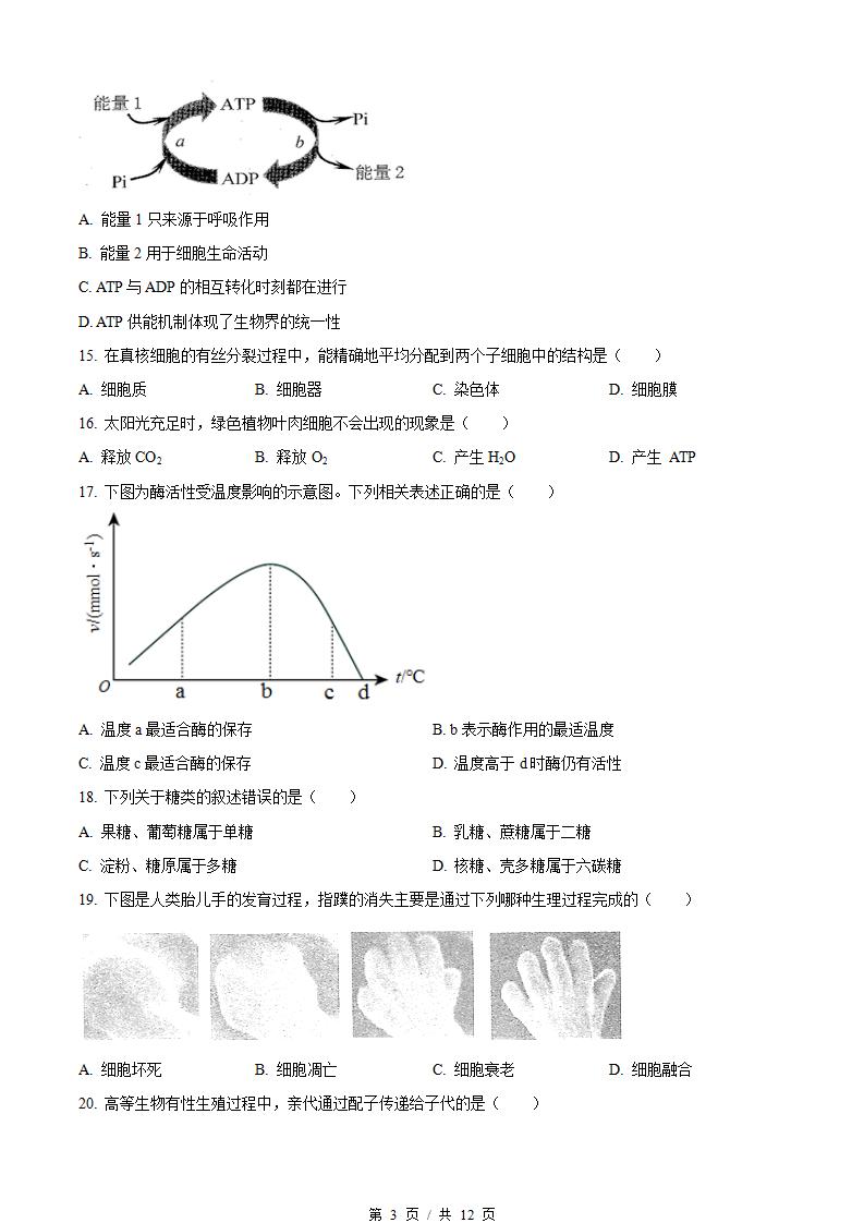 河北省2022年高中学业水平合格性考试生物3月真题试卷答案解析学考会考春考高考插图历年学考真题1