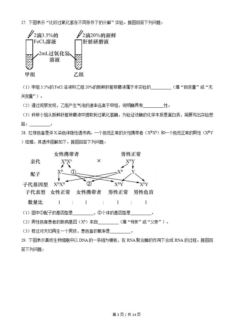 贵州省2023年高中学业水平合格性考试生物7月真题试卷答案解析学考会考春考高考插图历年学考真题3