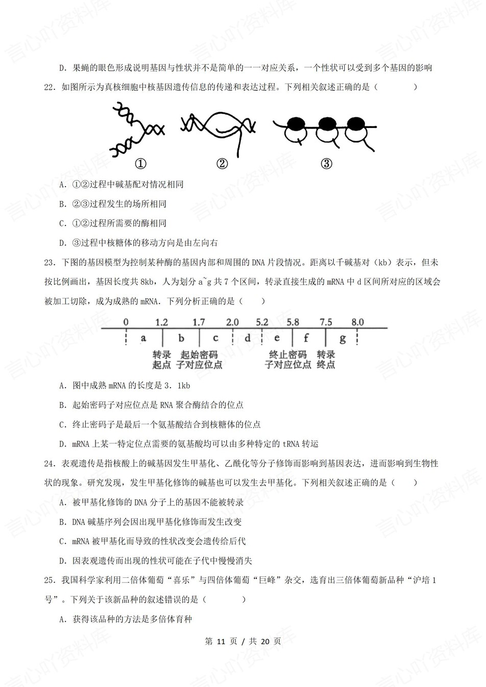 高中生物 | 高一下人教版期末复习考点梳理知识清单试卷模拟插图高中考点专项10