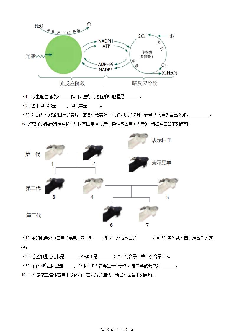 黑龙江省2022年高中学业水平合格性考试生物7月真题试卷答案解析学考会考春考高考插图历年学考真题4