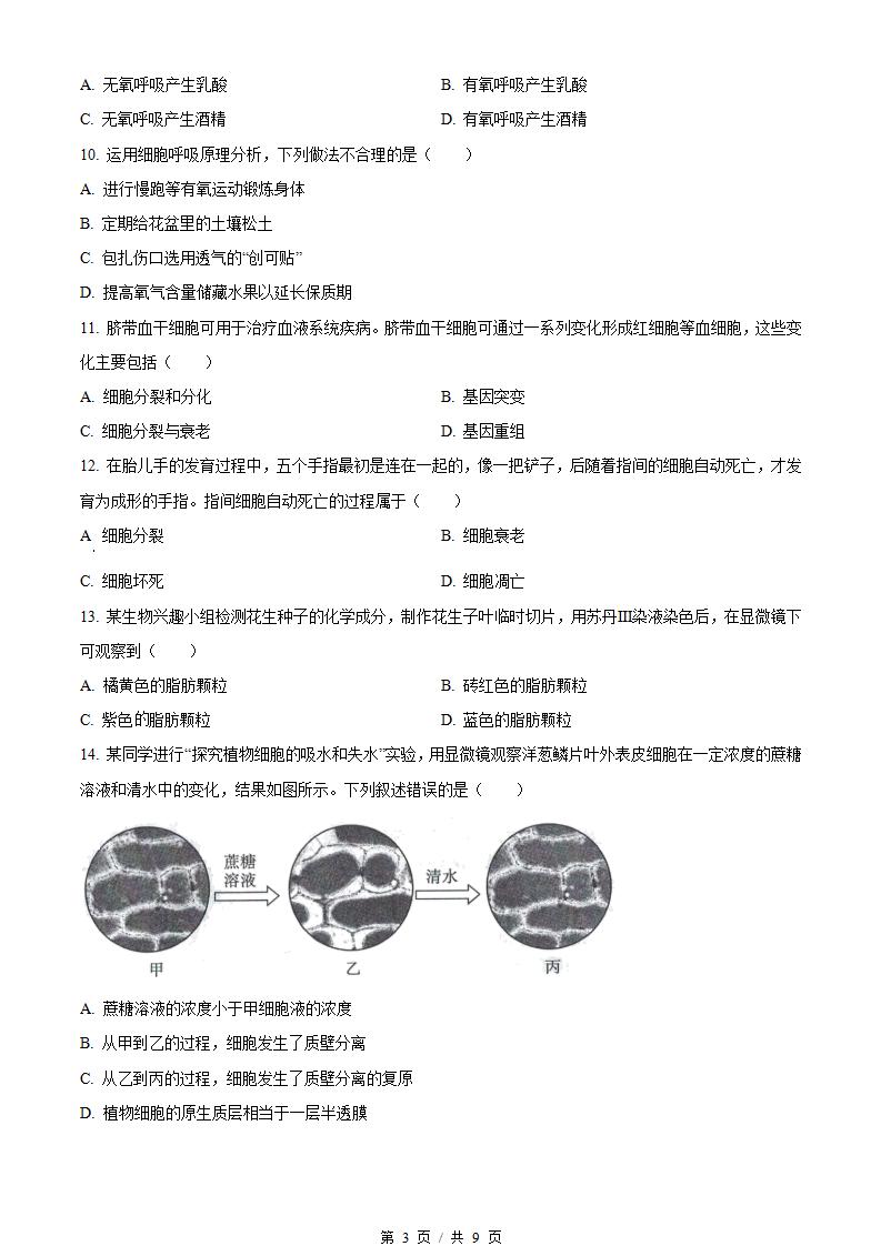 福建省2024年高中学业水平合格性考试生物1月真题试卷答案解析学考会考春考高考插图历年学考真题1