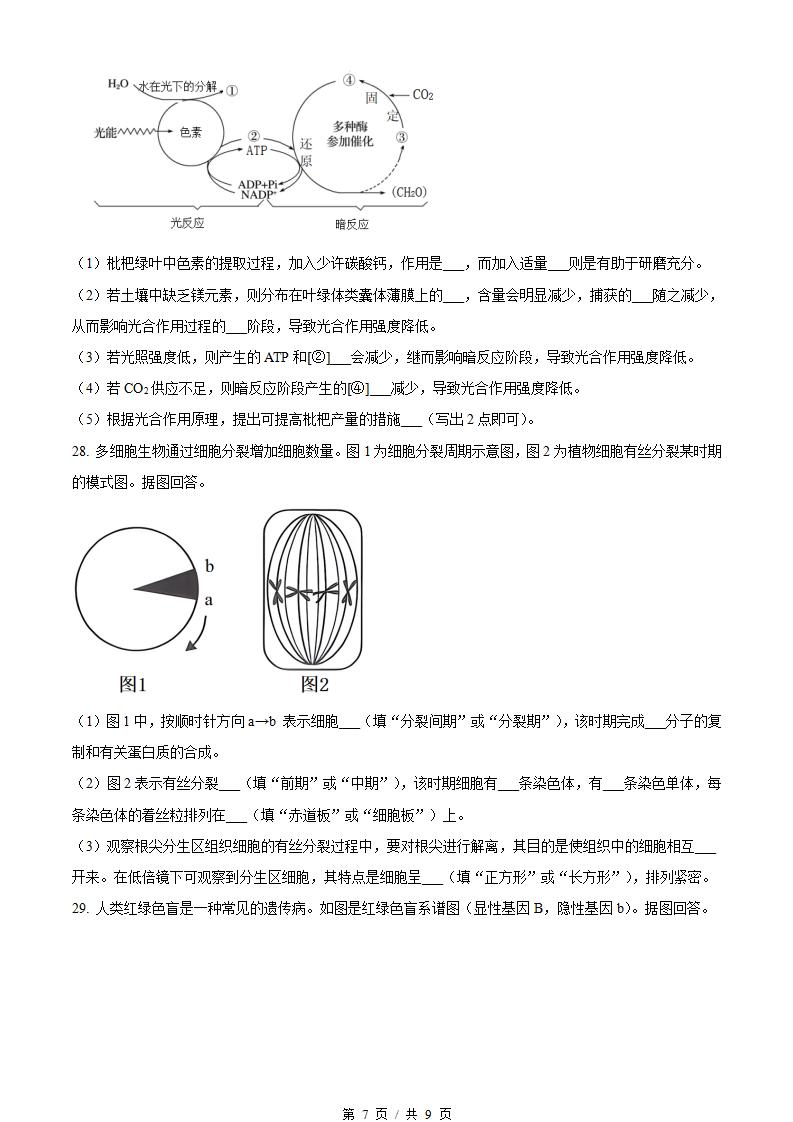 福建省2024年高中学业水平合格性考试生物1月真题试卷答案解析学考会考春考高考插图历年学考真题4