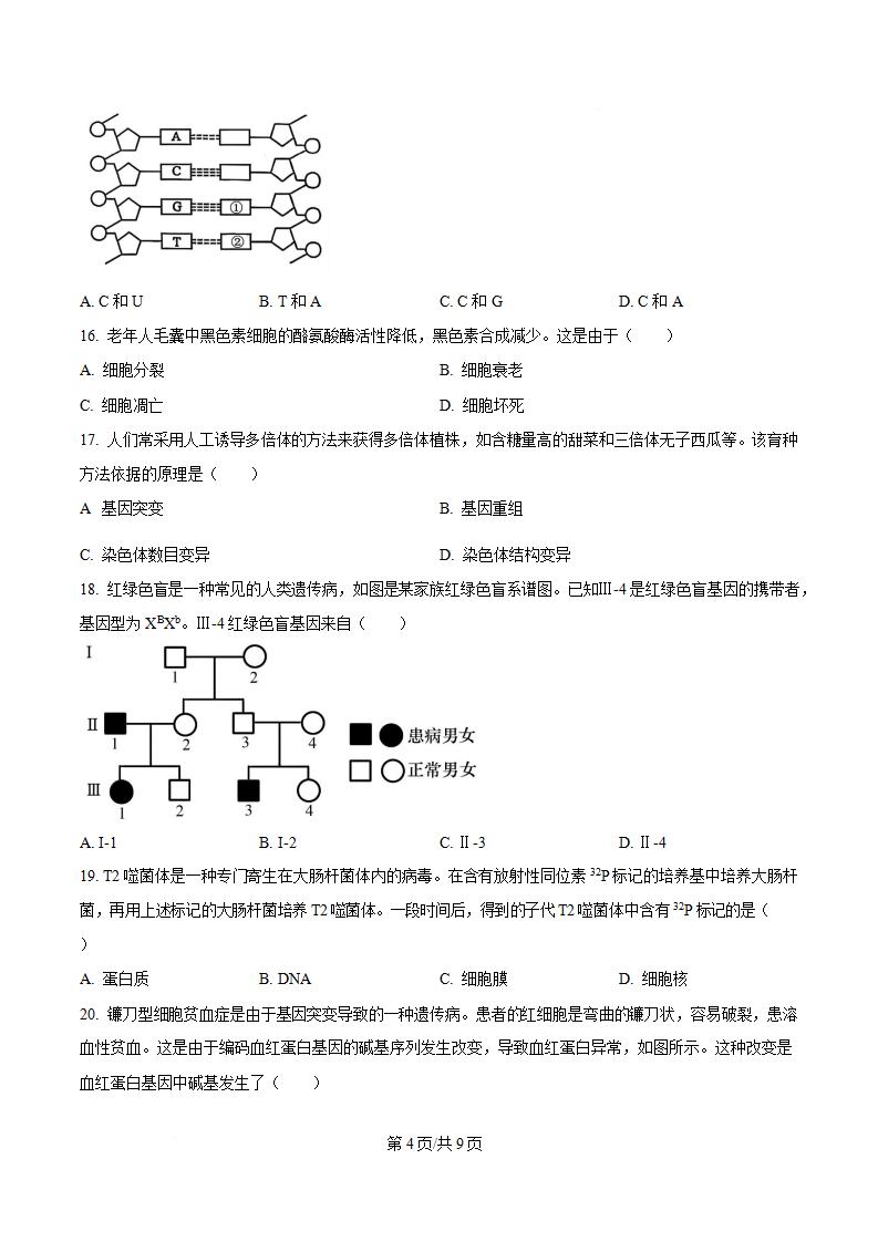 福建省2024年高中学业水平合格性考试生物6月真题试卷答案解析学考会考春考高考插图历年学考真题2