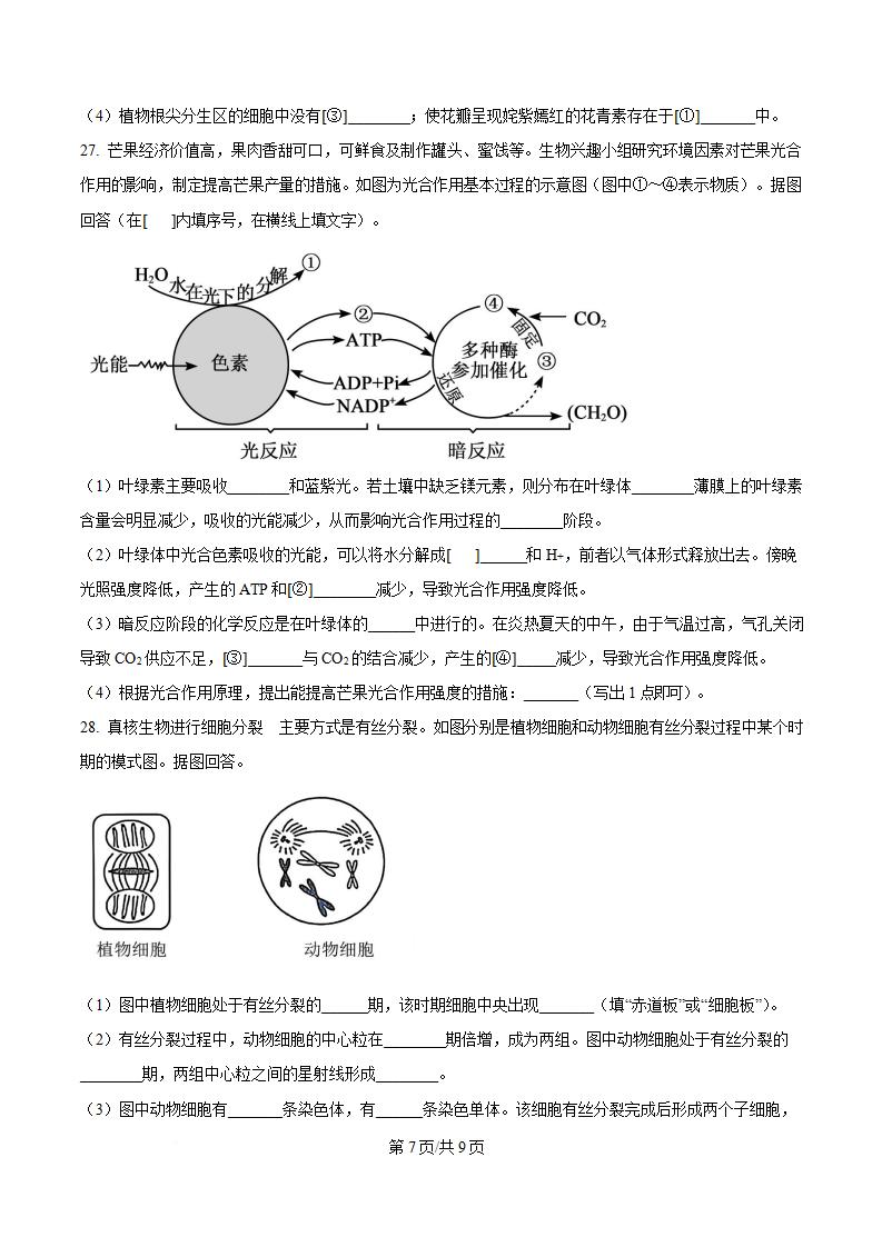 福建省2024年高中学业水平合格性考试生物6月真题试卷答案解析学考会考春考高考插图历年学考真题4