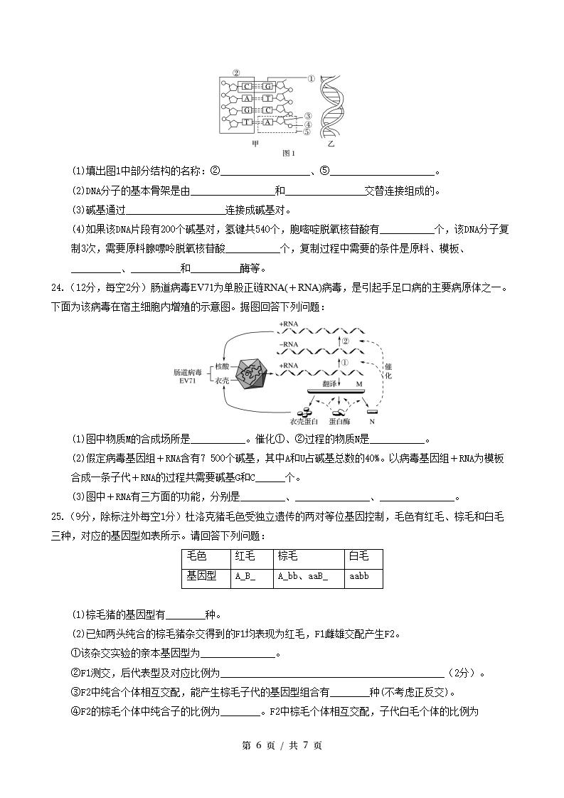 高中生物-高一下学期期中考试卷通用版答案解析插图同步试卷专项3
